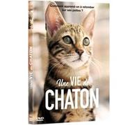 Une vie de chaton DVD G