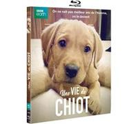 Une vie de chiot Blu-ray