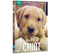 Une Vie De Chiot
