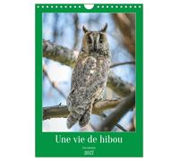 Une vie de hibou les oiseaux (Calendrier mural 2027 DIN A4 horizontal), CALVENDO calendrier mensuel: À la découverte des oiseaux qui nous entourent