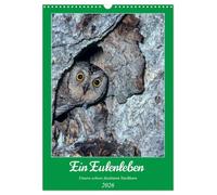 Une vie de hibou, Nos insaisissables voisins, Version française (Calendrier mural 2026 DIN A3 portrait), Calendrier CALVENDO mensuel