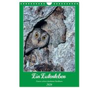 Une vie de hibou, Nos insaisissables voisins, Version française (Calendrier mural 2026 DIN A4 portrait), Calendrier CALVENDO mensuel