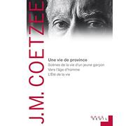 Une vie de province: Scènes de la vie d'un jeune garçon, Vers l'âge d'homme, LÉté de la vie
