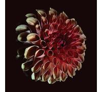 Unfolding - Vinyle 180gr