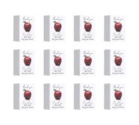 Ungtyb Pierre De Remerciement Enseignant | 12 étuis souvenirs style boîte allumette,Pierre De Décoration De Bureau | Pour Femmes Et Hommes Pour L'École Et L'Éducation De La Petite Enfance Et Les Fêtes