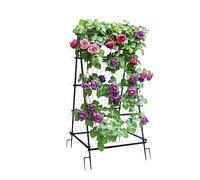 UNHO Grande Grille de Concombre de Jardin: Treillis Plante Grimpante Extérieur en Métal 105x105x176cm Support Plante Grimpante avec Filet Tuteur pour Rosier Vigne