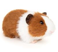 Uni-Toys - Cochon d'Inde (Marron/Blanc) - 21 cm (Longueur) - Peluche, Doudou