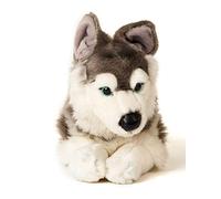 Uni-Toys Husky gris, couché - 43 cm (longueur) - Chien en peluche, animal de compagnie - Peluche
