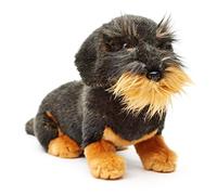 Uni-Toys - Torche à Poils Rugueux, Assis (sans Laisse) - 22 cm (Hauteur) - Chien en Peluche, Teckel, Animal de Compagnie - Peluche, Peluche (sans Laisse)