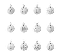 UNICRAFTALE 24 pcs Plat Rond avec 12 Pendentifs Constellation 304 en Acier Inoxydable Signe Mixte Charmes 3mm Petit Trou Signe du Zodiaque Charme pour Collier Bracelet Fabrication de Bijoux 12x1mm