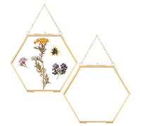UNICRAFTALE 2Pcs Cadre Photo Flottant en Verre à Suspendre Cadres de Fleurs Pressées Cadre Mural Hexagonal en Verre à Suspendre pour Fleurs Séchées Photos Herbier en Double Verre Doré 15.9x13.9cm
