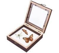 UNICRAFTALE Boîte de Présentation Cadre Vitrine pour Boîte De Collection | Marron Selle 15×15×4.5cm Acrylique transparent durable montable au mur prêt à personnaliser