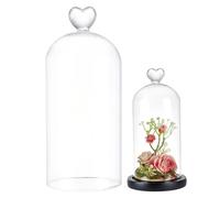 UNICRAFTALE Cloche En Verre Transparent 9x21cm Dôme À Cœur Pour Collections Antiques Décoration De Table Plantes Lumières Féeriques Photos Médailles