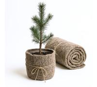 UNIGARDIA Feutre de Laine de Mouton 50 x 250 cm - Paillage Jardin 100% Naturel et Biodégradable - Tapis Sol Isolant Thermique pour Plantes - Protection Hivernale et Anti-Limaces