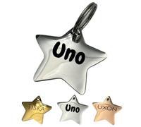 UNIKTAG Médaille en acier inoxydable pour chien, médaille gravée, Etiquette d'identification personnalisable, médaillon gravé, médaille en forme d'étoile (Argent)