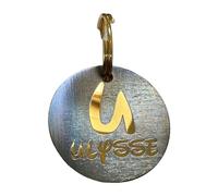 UNIKTAG Médaille pour Chien ou Chat, médaille gravée édition spéciale Letter irisée 25mm ou 30mm en Acier Inoxydable (30mm, Or)