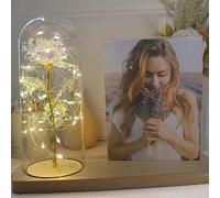 uniqicon Cadre Photo Rose Éternelle dans Un Bocal, Cadre Photo Fleur Éternelle avec Lumière LED, Idée Cadeau pour Anniversaire Saint Valentin Mariage Petite Amie Femme Maman Couple