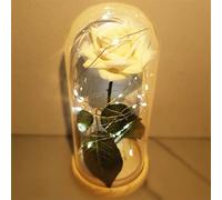 uniqicon Rose artificielle galaxie La Belle et la Bête, rose éternelle, dôme de rose, cadeau romantique pour elle, femme, épouse, grand-mère, petite amie, sœur, fille, fête des mères