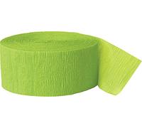 Unique Party - 6355 - Serpentin en Papier Crépon - 24 m - Vert Citron