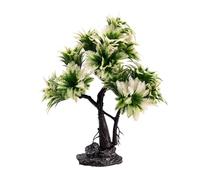 Unique Poissons Cachettes Creux Arbre Ornements Aquariums Paysage Décoration pour Bettas et Petits Poissons Résine Aquariums Accessoires
