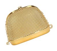 Unique Shell Shaped Acrylic Bag Bag for Wedding and Evening Parties Shoulder Crossobdy Purse Party Handbag Crossbody Purse