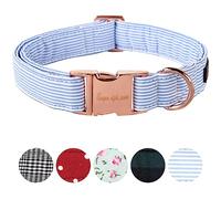 Unique Style Paws Collier pour chien - Colliers ajustables ou laisses pour chiens et chats - Petit, Moyen, Grand