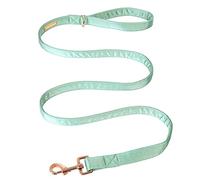 Unique style paws Laisse en soie résistante avec anneau en D soudé, poignée confortable pour chiens de petite taille et moyenne
