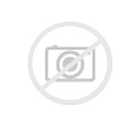 Uniroyal 145/90 R16 106M UST 17 (Neumatico Emergencia- Safety Tire)