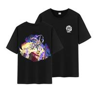 Unisex Honkai Splash Art and Path Double Side Graphic 100% Cotton Medium Weight Short Sleeve T Shirt