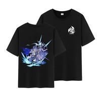 Unisex Honkai Splash Art and Path Double Side Graphic 100% Cotton Medium Weight Short Sleeve T Shirt