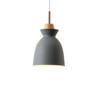 Unisex Watch Winder Chandelier Chandelier, Creative Personality Metal Pendant Light, Nordic Style Single Head Ceiling Hanging Lamp, Restaurant Cafe Decorat Lighting Fixture(Grey,Type A)