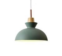 Unisex Watch Winder Chandelier Chandelier, Creative Personality Metal Pendant Light, Nordic Style Single Head Ceiling Hanging Lamp, Restaurant Cafe Decorat Lighting Fixture(Green,Type C)