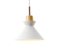 Unisex Watch Winder Chandelier Chandelier, Creative Personality Metal Pendant Light, Nordic Style Single Head Ceiling Hanging Lamp, Restaurant Cafe Decorat Lighting Fixture(White,Type B)