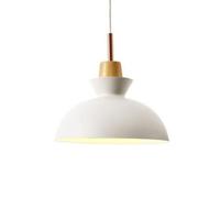 Unisex Watch Winder Chandelier Chandelier, Creative Personality Metal Pendant Light, Nordic Style Single Head Ceiling Hanging Lamp, Restaurant Cafe Decorat Lighting Fixture(White,Type C)