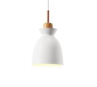 Unisex Watch Winder Chandelier Chandelier, Creative Personality Metal Pendant Light, Nordic Style Single Head Ceiling Hanging Lamp, Restaurant Cafe Decorat Lighting Fixture(White,Type A)