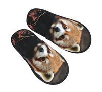 Unisexe Chaussons Homme Femme Pandas Roux Chaussons De Spa Antidérapantes Chaussures D'Intérieur Sont Tendance Hiver Chaud Pantoufles Pour Salon Interieur Chambre M