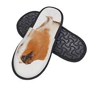 Unisexe Chaussons Pour Homme Et Femme Cochon D'Inde Multicolore Chaussures D'Intérieur Unique Pantoufle Lavable Pantoufles Chaussons Fluffy Pour Salon Exterieur Spa L
