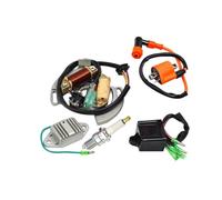 Unité CDI de Moto Bobine D'allumage CDI Box Régulateur Redresseur Stator Kit pour YFS200 97-01 Moto CDI Allumage