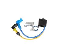 Unité d'allumage CDI Moto Bobine D'allumage CDI pour PK80 LD80 LD90 100cc 80cc 66cc, Accessoires De Remplacement pour Moteur À Essence