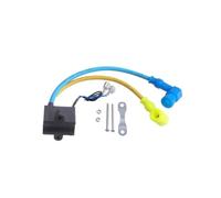 Unité d'allumage CDI Moto Bobine D'allumage CDI pour PK80 LD80 LD90 100cc 80cc 66cc, Accessoires De Remplacement pour Moteur À Essence