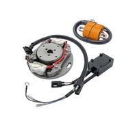 Unité d'allumage CDI Moto pour RM80 1996-2001 pour RM85 2002-2017 RM85L 2003-2020 Moto Bobine D'allumage Rotor Stator Magneto CDI Box Set