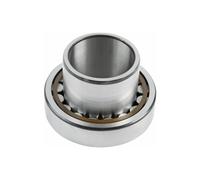 Unité de palier de roue DT Spare Parts 7.32506, d: 55 mm, D: 100 mm, H: 62 mm