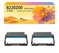 Unité de Tambour à Haut rendement Compatible B220Z00, Remplacement pour Les imprimantes pour Lexmark B2236dw MB2236adw MB2236i Unité d'imagerie pour Cartouche de Tambour 2*Black