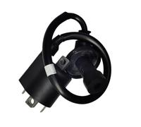 Unité du système de Bobine d'allumage Compatible avec des vélos à Fosse de 125 cm3, des modèles comme Haojue Lindy 125 HJ125-18A Lindy 125 UM125