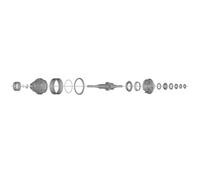 Unité Interne SHIMANO SG-C6061-8C Pignon De Moyeu 187Mm SH-Y3ED98010