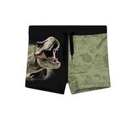 United Labels Jurassic World Short de Bain garçon, Vert/Noir, 134/140, Mode Enfant