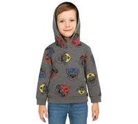 United Labels Paw Patrol Sweat à capuche pour garçon - Pull à capuche pour enfant Gris, gris, 86 cm-92 cm