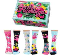 United oddsocks box go flamingo