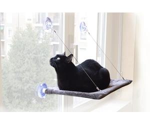 United Pets Cat View - Lit pour Chat avec Ventouses pour la Fenêtre, Couleur Gris, 37x 47 cm. Hamac de Fenêtre pour Chat