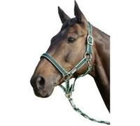 United sportproducts germany usg 3446 licol pour pur-sang avec boucles argentées (vert gris)